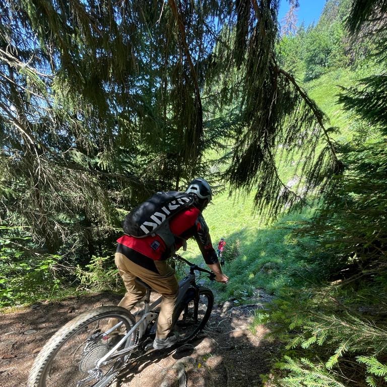 Descente en sous-bois sur un sentier du Vercors