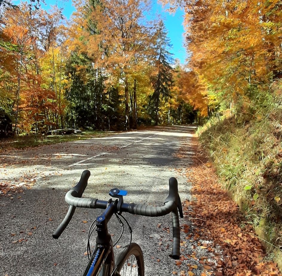 Guidon de gravel sur une route forestière aux couleurs d'automne